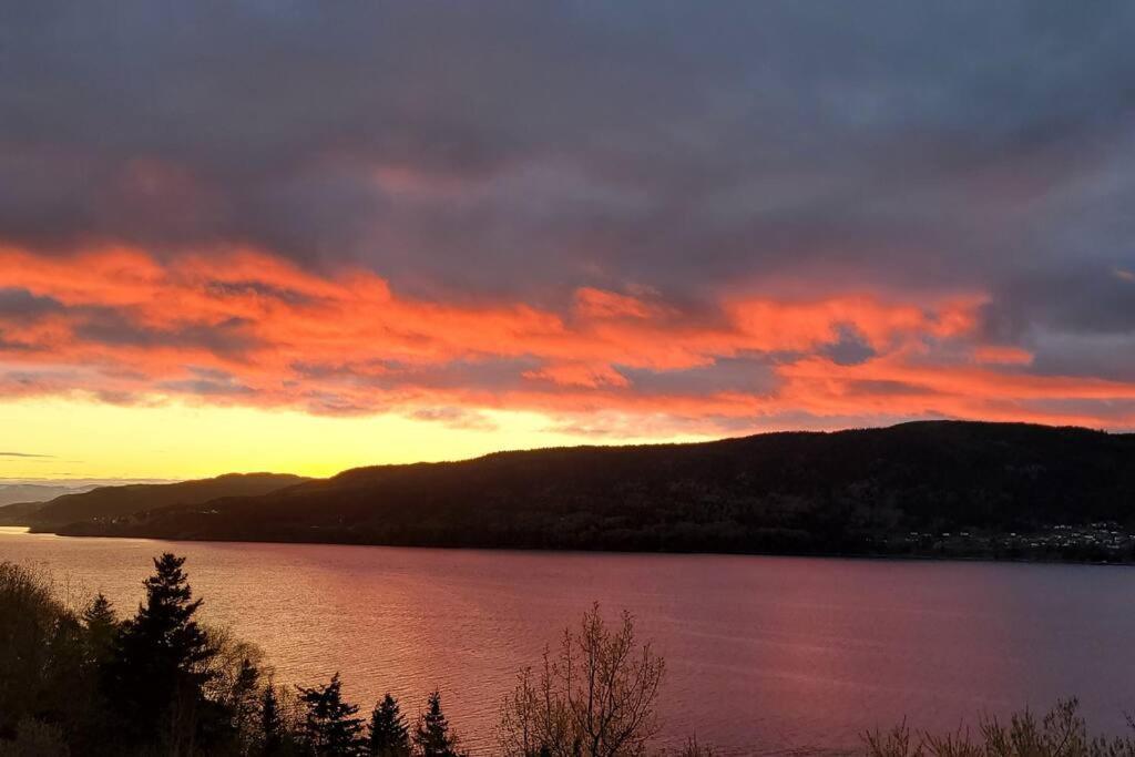 Coastal Lookout Suites Corner Brook Eksteriør bilde