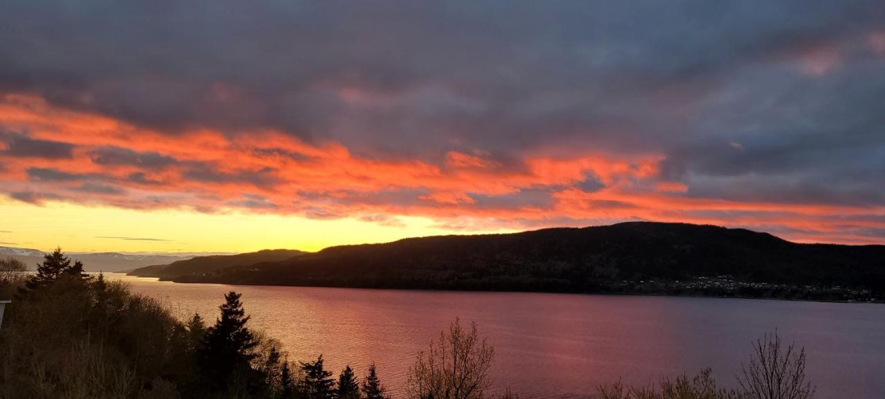 Coastal Lookout Suites Corner Brook Eksteriør bilde
